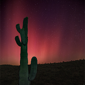 The Aurora Borealis dipped into Arizona to be photographed with a Saguaro Cactus at Lake Pleasant near Phoenix.